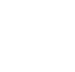 Form icon 2